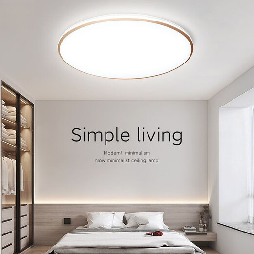 微伙吸顶灯led超亮客厅主灯圆形阳台灯厨房灯现代简约三防吸顶灯 白边23cm白光12瓦-1个