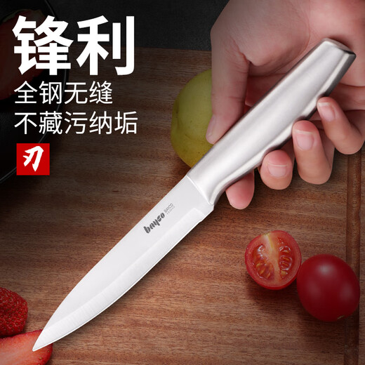 拜格（BAYCO）不锈钢水果刀家用削皮刀刨皮刀全钢西瓜刀削皮器便携小刀XY90101