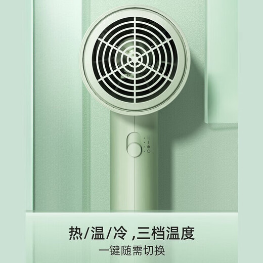 飞科电吹风机家用恒温负离子护发1800W大功率宿舍冷热风网红款 【恒温护发1800W】清新绿 FH6296