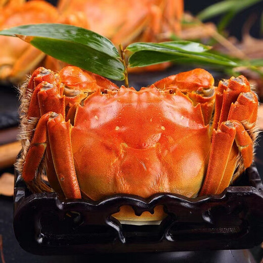 Live crabs Lake fresh Yangcheng hairy crabs whole female 3.3-3.6 pairs 8 pieces with rope feet removed fresh stock fresh aquatic products extra large crab gift seafood gift box