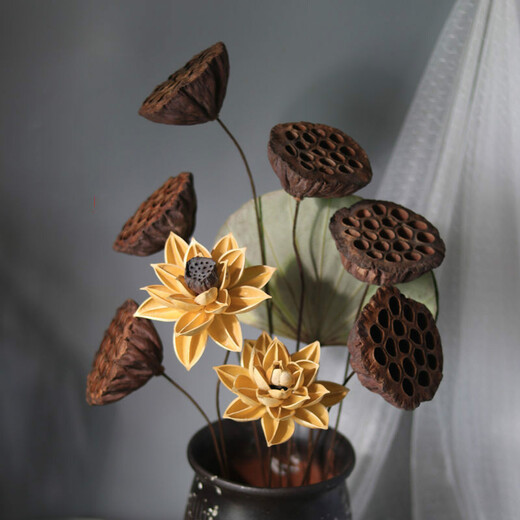 AIMAN dried lotus flower bouquet lotus lotus real flower Zen style air-dried Chinese flower arrangement living room decoration ornaments to attract wealth Combination 1 (without bottle)