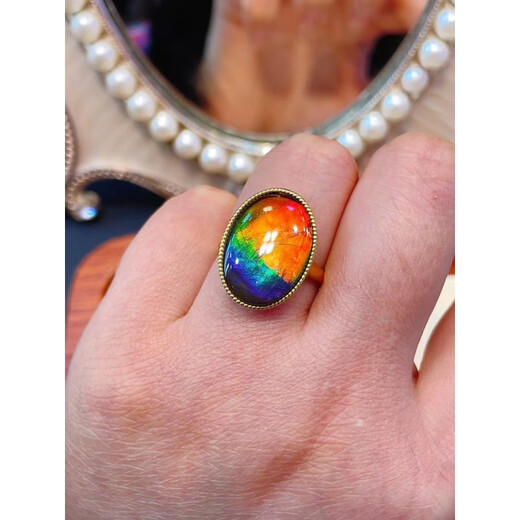 Luxurious Canadian Ammonite Ring 925 Silver Gold Plated Bare Stone 18*13