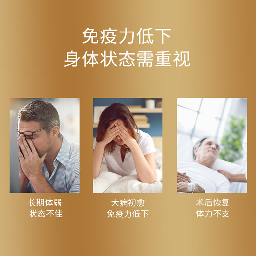 Ruijitang ruijitang break wand ganoderma lucidum spore pulver authentic changbai montage wild speziell