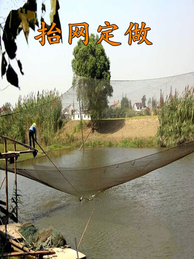 Customized thickened fishing net breeding net pull net clear pond fishing net lift net fish pond pollution blocking partition net nylon net 90 strands 3 cm per square