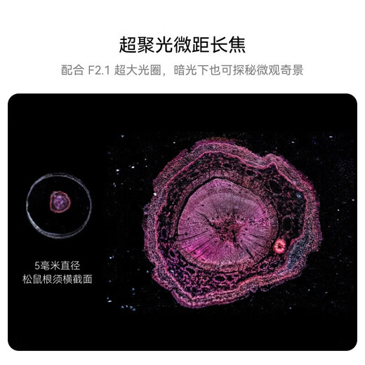 HUAWEI Pura 70 Pro+ 旗舰手机 双卫星通信 超高速风驰闪拍 华为p70pro+智能手机 魅影黑 16+1T全网通