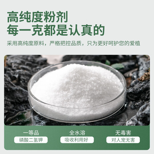 Stanley Potassium Dihydrogen Phosphate Flower Fertilizer Foliar Agricultural Fruit Tree Special for Domestic Potted Plants Universal Phosphorus and Potassium Blooming Compound Slow Release Potassium Dihydrogen Phosphate 100g