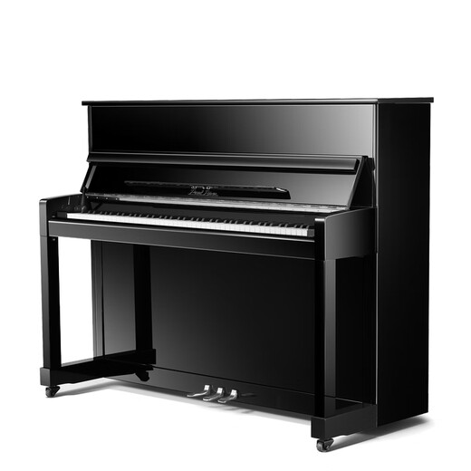 Pearl River Piano Brand New Upright Piano 118 Professional Piano Family Children Beginner College Teaching Piano C1E