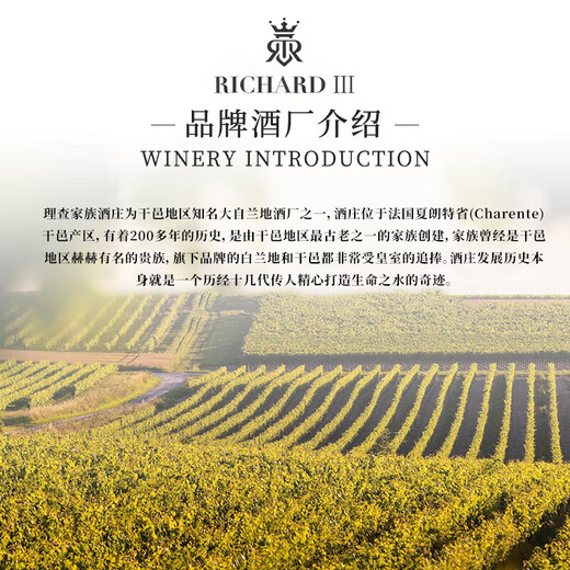 理查三世（RICHARDIII）白兰地xo洋酒法国进口45度1000ml 桶强T30名酒烈酒 送酒杯礼袋 1000mL 2瓶 （性价比）