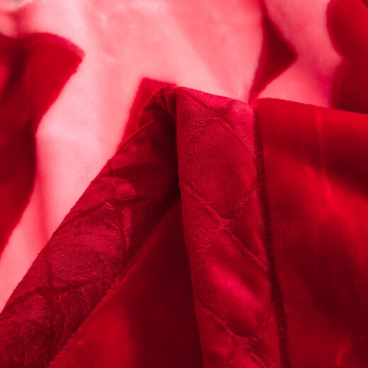 南极人大红色结婚庆毛毯双层加厚10斤毛毯秋冬季盖毯拉舍尔结婚毯子双人大被子陪嫁送礼 CC-655大红（红双喜）【双层加厚毯】 200*230cm【约12斤】