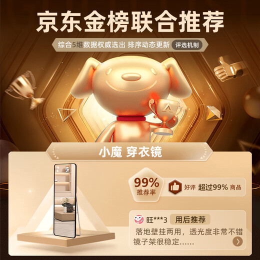 小魔网红穿衣镜全身落地镜服装店试衣镜ins家用壁挂卧室玄关镜