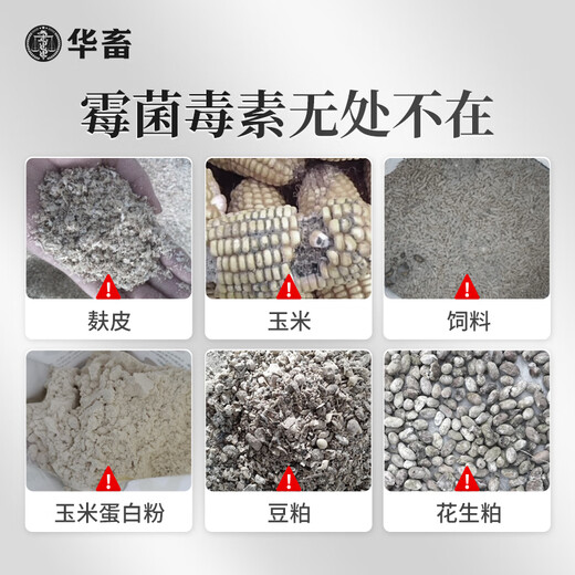 Huazhu Powerful Biological Antifungal Agent, Veterinary Feed Additive for Pregnant Livestock, Cattle, Sheep, Chickens and Poultry, 1 barrel, Powerful Biological Antifungal Agent, 10kg