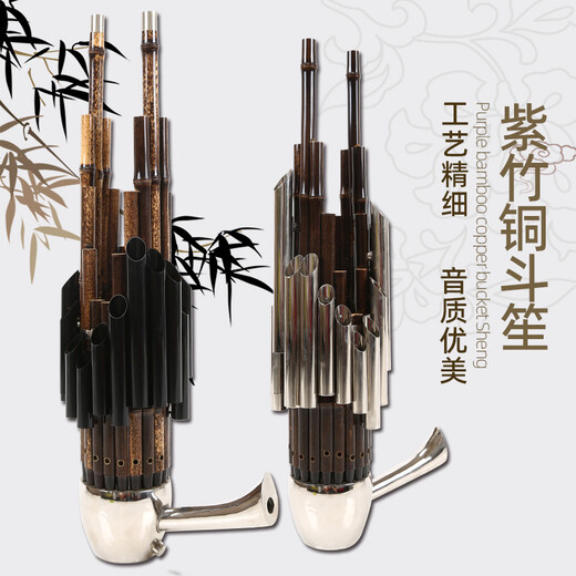 Instrument Sheng pour débutants 14 roseaux carrés sheng 17 roseaux 21 roseaux ronds sheng B plat CED clé débutant sheng instrument 14 roseaux violet bambou tube blanc cuivre doosheng-D clé