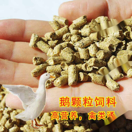 Goose feed goose full price pellet feed multi-Specifications young goose large goose feed goose peacock swan adult period 10Jin Jin is equal to 0.5 kg