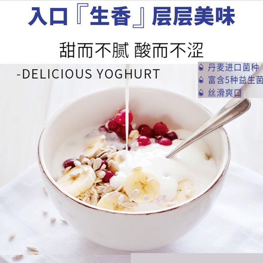 LIFE ELEMENT máquina de natto doméstica inteligente completamente automática puede hacer yogur con revestimiento cerámico pequeña tecnología japonesa máquina de fermentación profesional bacterias de yogur 20 paquetes