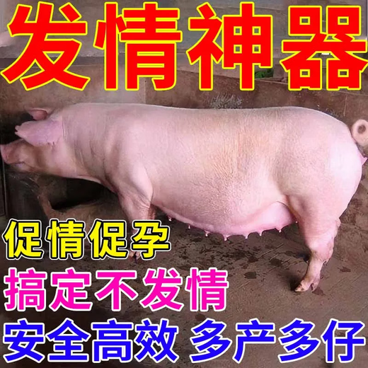 Luan Magnetic Sow Hair Qing Veterinary Use to Promote Pregnancy and Promote Emotion Sows Do Not Have Hair to Promote Pregnancy and More Litters Sow Health Feed Added Sow Hair Qing 1 Bag 50g