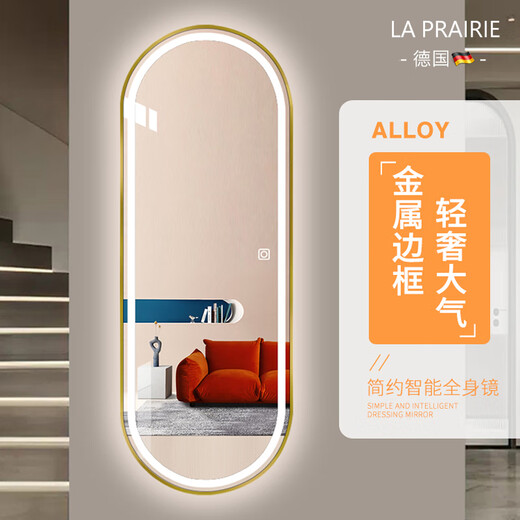LA PRAIRIE德国 轻奢试衣镜led带灯全身镜贴墙智能镜子壁挂穿衣镜挂墙家用 金色单触无极调光(调亮度)-白光 60*165cm