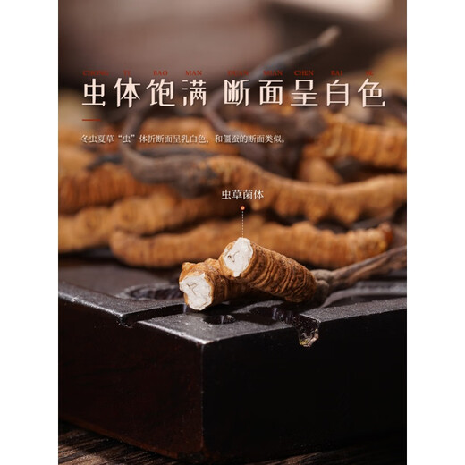 胡庆余堂官方冬虫夏草礼盒10g/5g#4000条皮质礼盒装送人用 10g装(精美皮质礼盒)