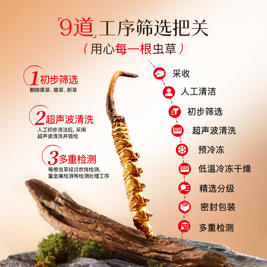 Eu Yan Sang Cordyceps Gift Box Dried Cordyceps Nourishing Gift Worms Full Household Nutritional Products for the Elderly Soup New Year's Day 1 Box 30g 3 Roots/g