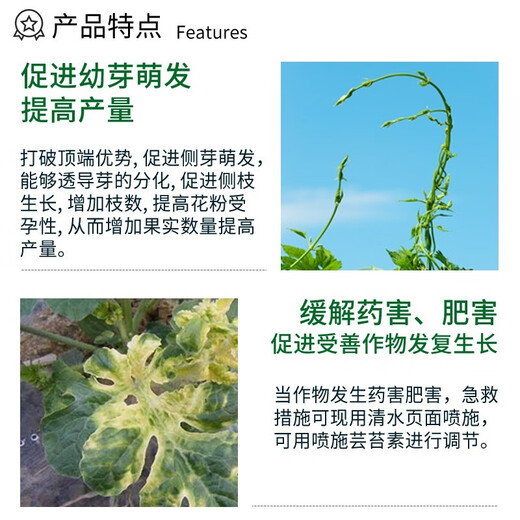 28 table high brassinolide plant growth regulator rooting and seedling foliar fertilizer vegetable flower and fruit preserving pesticide 1000g