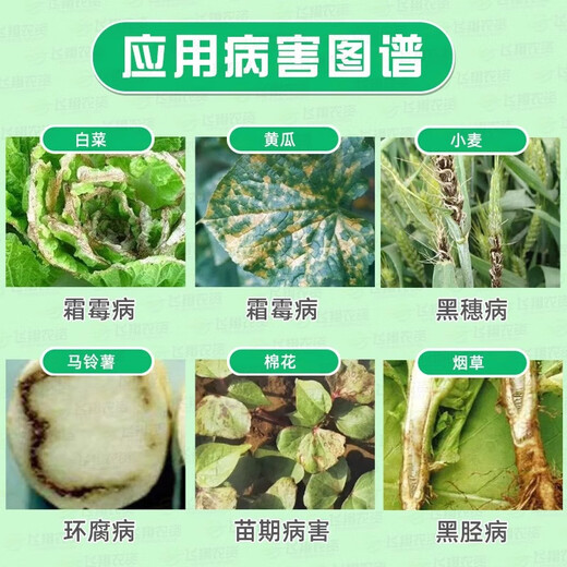 Dixon, Dandong Dixon sodium seedling disease, downy mildew, black shank soil disease, soil pesticide, Dixon sodium fungicide 400g