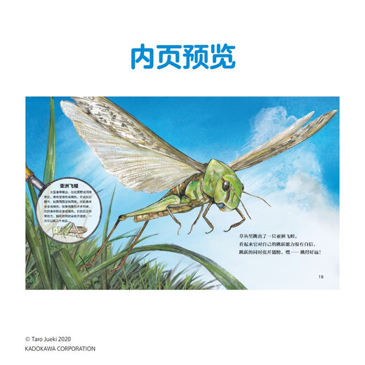 
Awesome insects Pull apart the grass. Based on real insect specimens, clearly show the appearance of various insects. 4-8 years old Popular Science Encyclopedia Enlightenment Picture Book 9787556265701