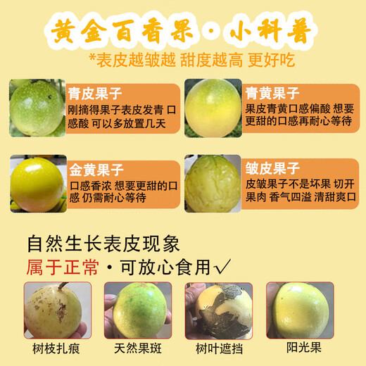 Jingxiansheng Guangxi Golden Passion Fruit Net weight 3Jin Jin is equal to 0.5kg Single fruit 45-60g/24-36 fresh fruits Straight from the source
