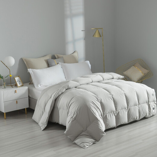 Hengyuanxiang Quilt Core Antibactérien Antibactérien Goie Velvet Couette blanche GOOSE VELVET CHAUD ANTI-DIAMOND VELVET AUTUM