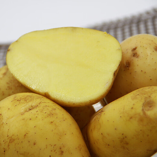 Good Farmer Baocai Yellow Heart Potatoes Net Weight 4.5 Jin Jin is equal to 0.5 kg Tengzhou Potato Landmark Product Single Fruit 40g + Straight from the Source