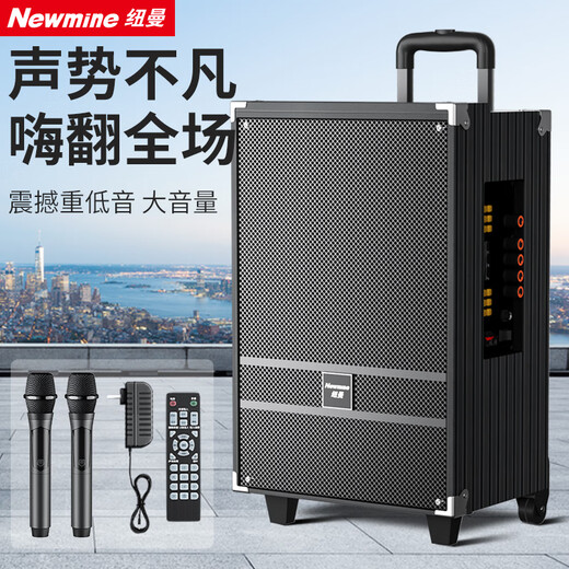 Newman N519 12-inch high-power subwoofer square dance audio mobile home outdoor karaoke Bluetooth trolley portable speaker amplifier dual microphone with adapter