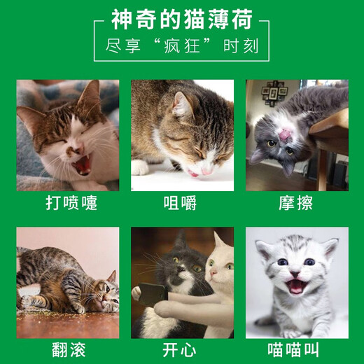 Habao Habai catnip powder, pure mint leaves, cat snacks, helps eliminate hair balls, cleans the mouth, decompresses cat grass, 1 bottle, about 20g/bottle