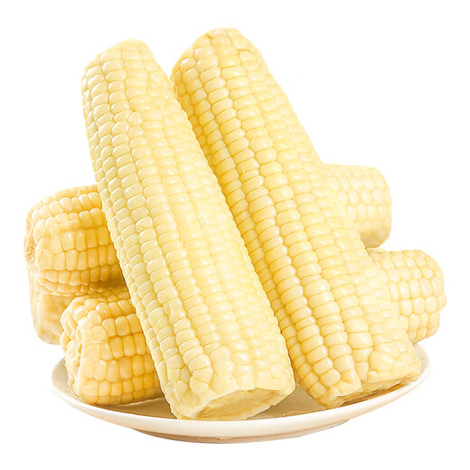 Jingxian Raw Northeast White Waxy Corn 330g*8 Sweet Sticky Corn Low-fat Breakfast Meal Replacement Whole Grains Vacuum Packed Straight from the Source