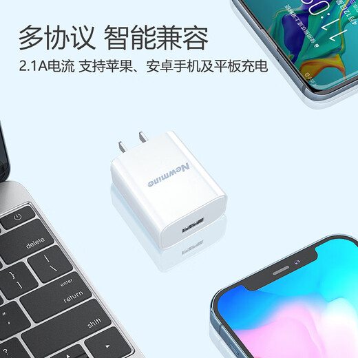 Newmine Type-C charging set 2 meters charger Android phone 5V/2A source adapter mobile phone headphone watch charging head white