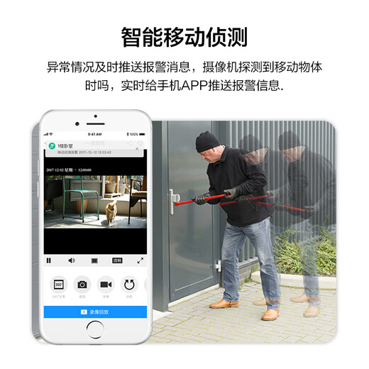 TP-Link Wireless Surveillance Camera 360 Grad ohne tote Winkel Hochdefinitions-Panorama-Fischerei-Videokopf mit Nachtsicht Mobile App Remote-Anzeigen in Indoor-Heim-Sicherheitsmonitor Guanjiabao 5 Millionen Panoramabläufe [WiFi-Version] ohne Speicher