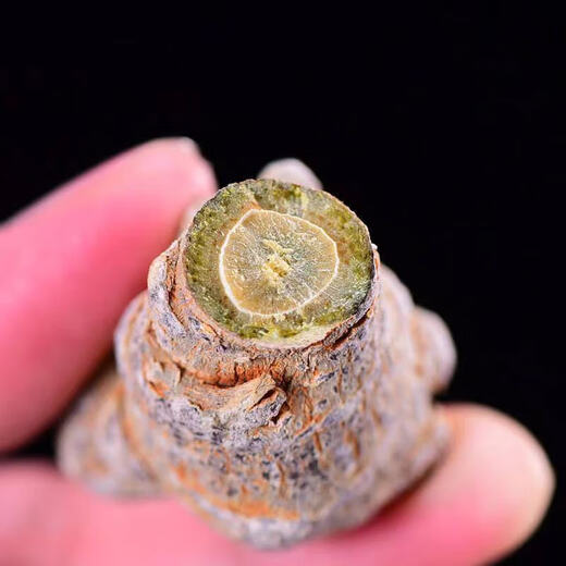 Yunnan Wenshan Spring Panax notoginseng whole wild Panax notoginseng Chinese herbal medicine wholesale price unwaxed Panax notoginseng head Panax notoginseng flowers soaked in water Panax notoginseng 500g