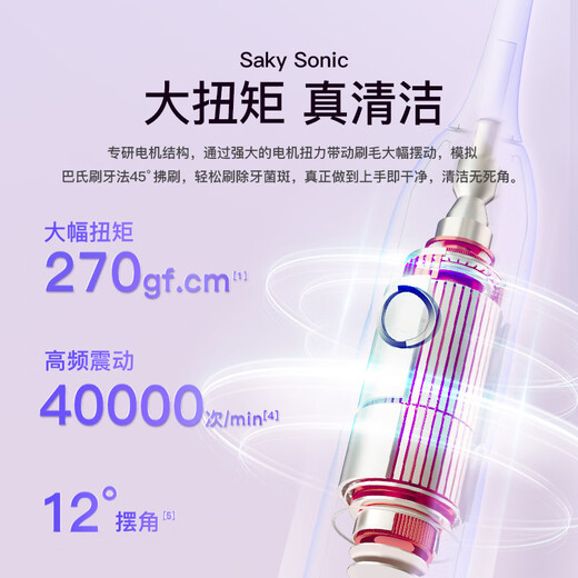 Brosse à dents électriques du couple SHUKE Couple Smart Area Changer la brosse à dents de l'étudiant adulte électrique pour envoyer un petit ami / petite amie 5 modes chinois Gift National Subvention National Subvention T2