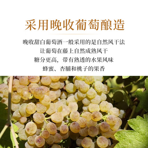 圣芝（Suamgy）G126双叶城堡老藤晚收半甜白葡萄酒750ml 单瓶装聚会 原瓶进口