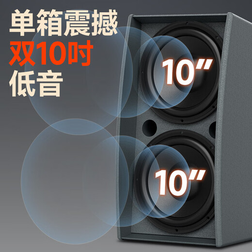 Shanshui (Sansui) F20 Home KTV Audio Set Home Karaoke Song Order Machine All-in-One Set Audio Karaoke Karaoke Jukebox Home Theatre Singing Home Full Set Audio 2 * Double 10 pouces + amplificateur haute puissance + 20 pouces 2t Machine de commande de chanson 2T