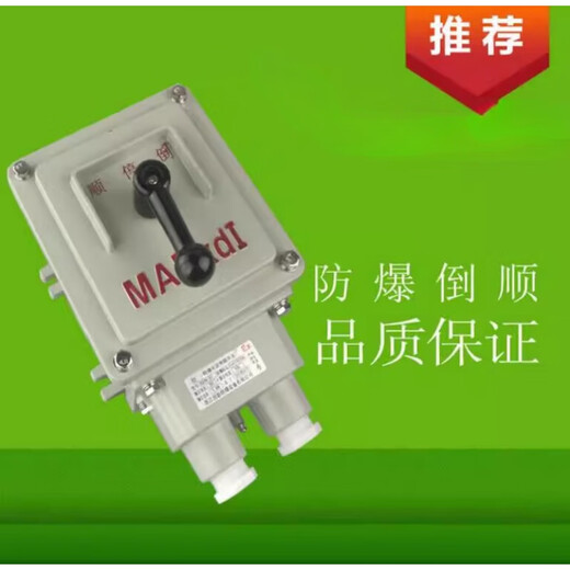 Explosion-proof reverse stop switch BQXN-10A BQXN-60A100A30A reversible switch explosion-proof forward and reverse switch BQXN-10A