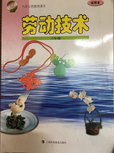 上海教材课本劳动技术678年级六七八年级沪教版劳技教科书