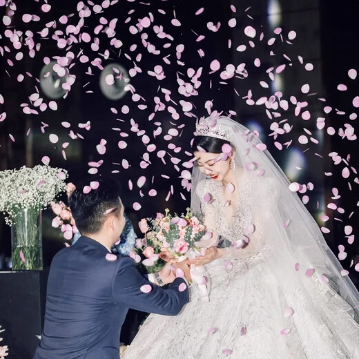 HIP KISSINGS LETS MOUDAINE Pétal salon Petal Rain Fireworks Supplies Collection de salon Mariage Pétal Papez Bouteille de ruban de tambour Pink Fun [Perne Petal Rain] 60 Modèles 4