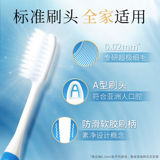 狮王（Lion）细齿洁原经典标准牙刷 弹净透软毛牙刷A型狭长刷头刷柄防滑易握 弹净透软毛牙刷* 10支 (两支/板*5)