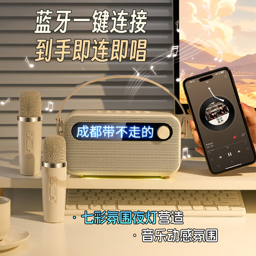朵帆10岁女孩生日礼物7-14女童麦克风话筒音响一体机儿童玩具3-6岁