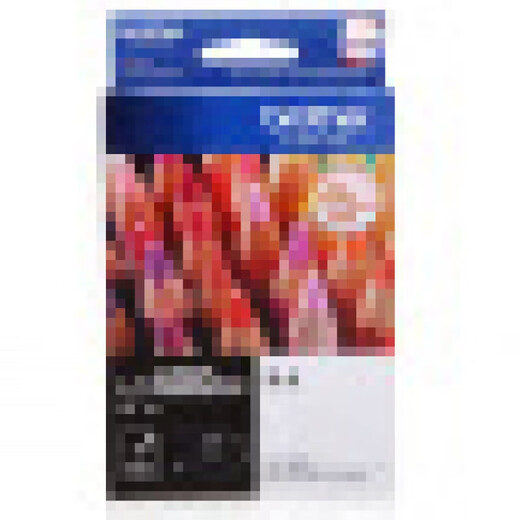 LC400BK MFC-J430W J625dW J5910DW J6710DW 691 品红600页