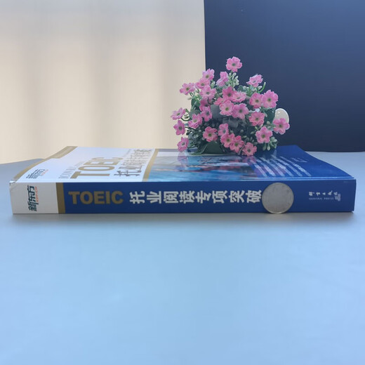 现货速发 新东方TOEIC托业阅读专项突破 托业阅读教材 新托业考试专项教材专项练习 托业英语