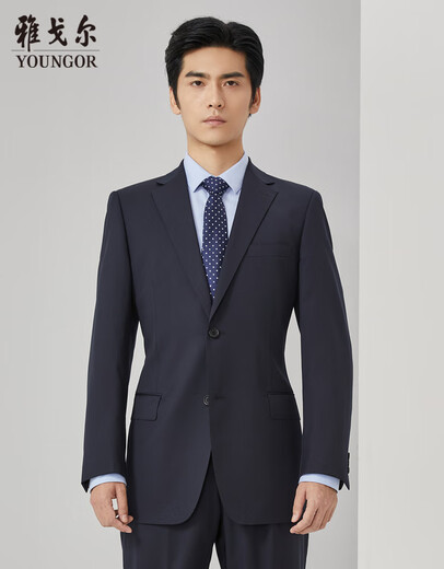 雅戈尔（YOUNGOR）套西上衣男03F1款两粒单排扣外套标准版商务西服羊毛混纺商场同款 藏青 L 175/96A