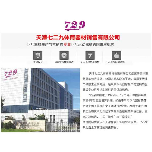 729 碳素乒乓球底板 乒乓球拍直拍 Z-1 PLUS 进攻型