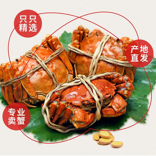 [Living Crab] Net bag crabs extra large Liaoning Panjin River Crab Rice Field River Crab Gift Box Fresh Live Crab Fresh Live Crabs, remove rope net weight male and female 1.2-1.4 taels 10 pairs 20 pieces