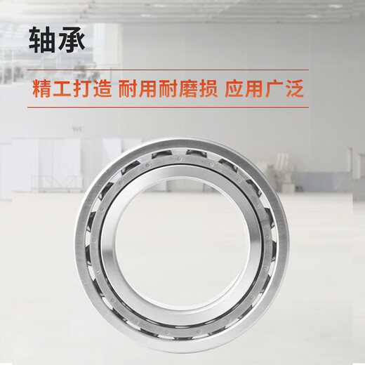 NSK 轴承	6203ZZ   金属盖