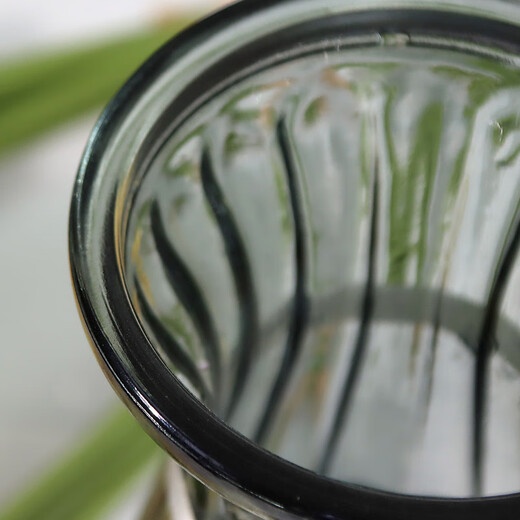 Shengshi Taibao glass vase vase dry flower starry artificial flower plant living room decoration ornaments smoke gray 22cm