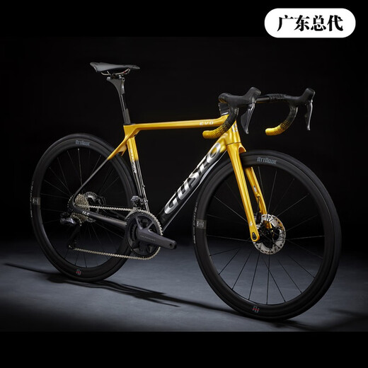 SUNPEED高士特公路车GUSTO RANGER EVO碳纤维碟刹电变破风气动自行车 车队金 更多尺码请联系客服确认 电变7170铝轮铝把